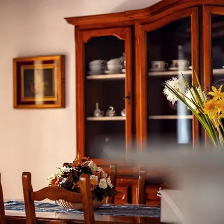 Apartment Glicine -historic Mediterranean Villa- *